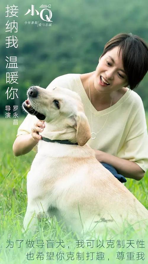 杜鲁门州立大学文凭毕业证怎么买高仿